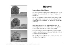 Bäume-Lesetext-SW.pdf